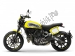 All original and replacement parts for your Ducati Scrambler Flat Track Thailand USA 803 2016.